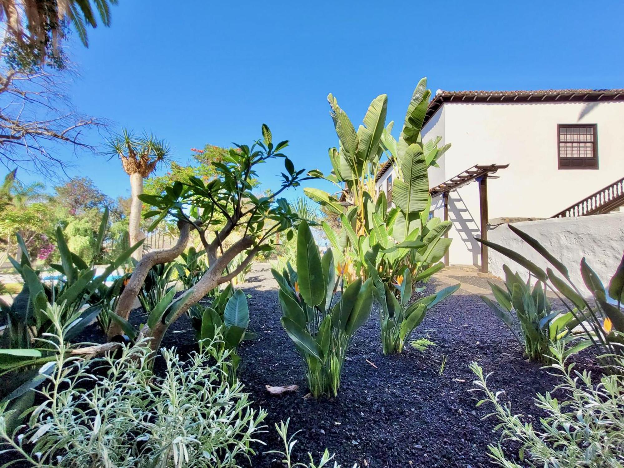Ferienwohnung Hacienda La Vizcaina La Orotava Exterior foto